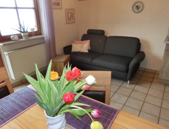breitenberg_couch