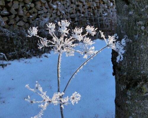 winter_ferienhofCIMG2373