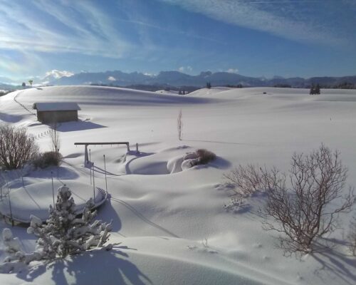winter_ferienhofIMG_20190111_095543
