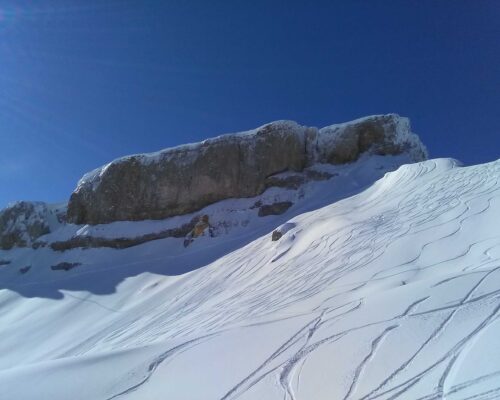 winter_ferienhofIMG_20190214_105534