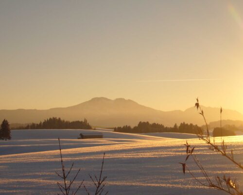 winter_ferienhofUrlaub 2013 102
